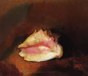 Odilon Redon The Shell China oil painting reproduction